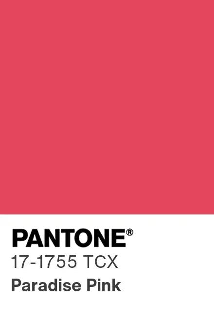 NNIstudio - CRISP Strick-Pullunder - Paradise Pink - XS -