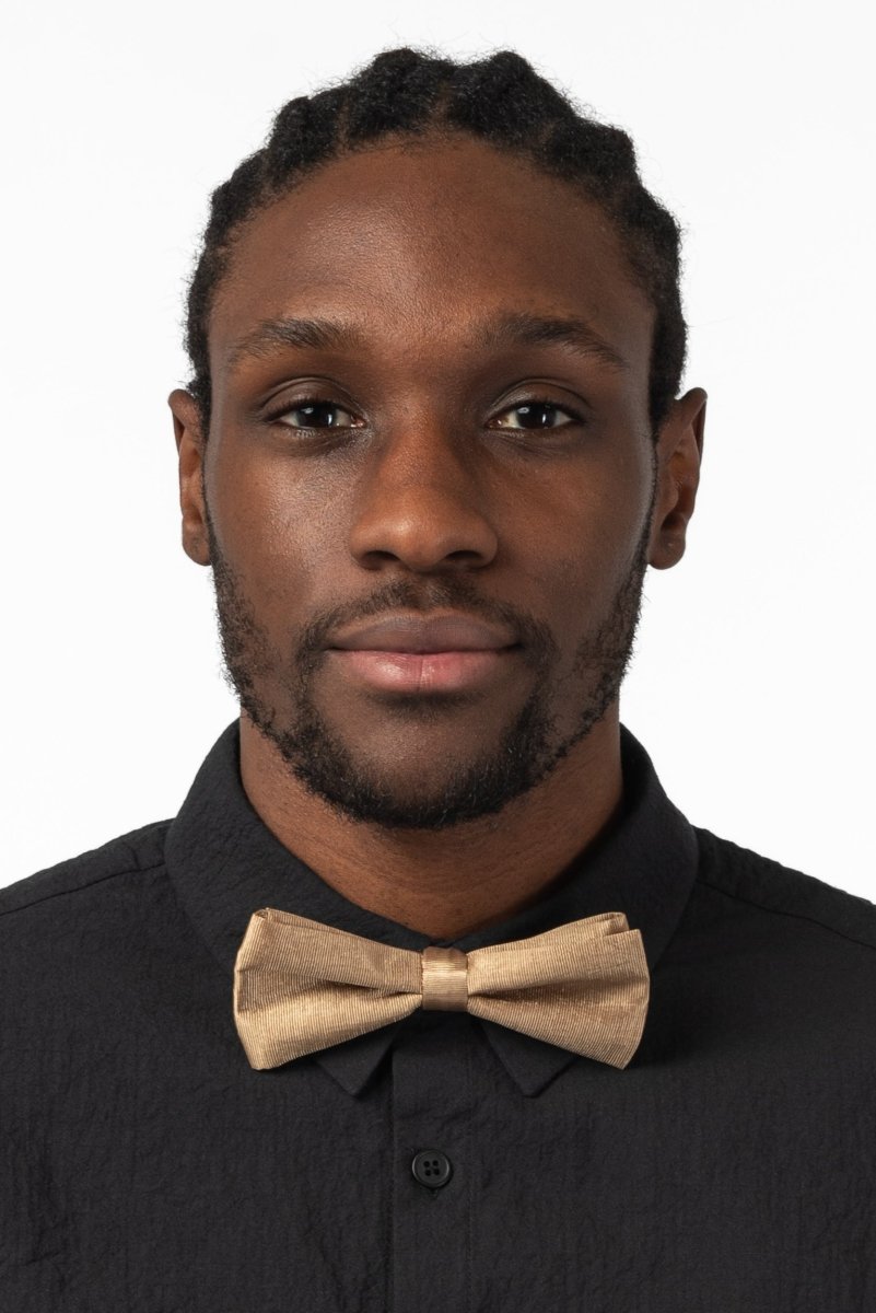 NNIstudio - FLY Fliege - Gold -