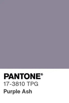 NNIstudio - CLASSIC 2.0 Strick - Jacke - Purple Ash - S - 