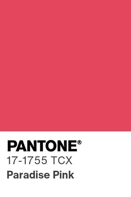 NNIstudio - CRISP Strick-Pullunder - Paradise Pink - XS -