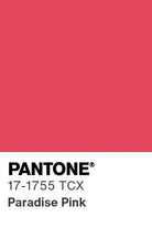 NNIstudio - CRISP Strick-Pullunder - Paradise Pink - XS -